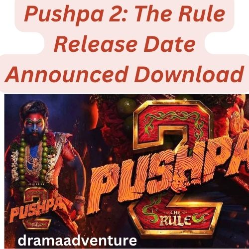 Pushpa 2: The Rule Release Date Announced 2024 Download