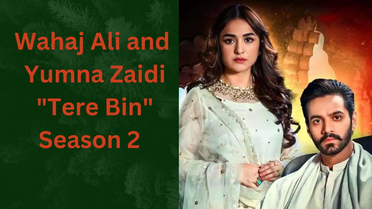 Wahaj Ali and Yumna Zaidi Tere Bin Season 2 2024