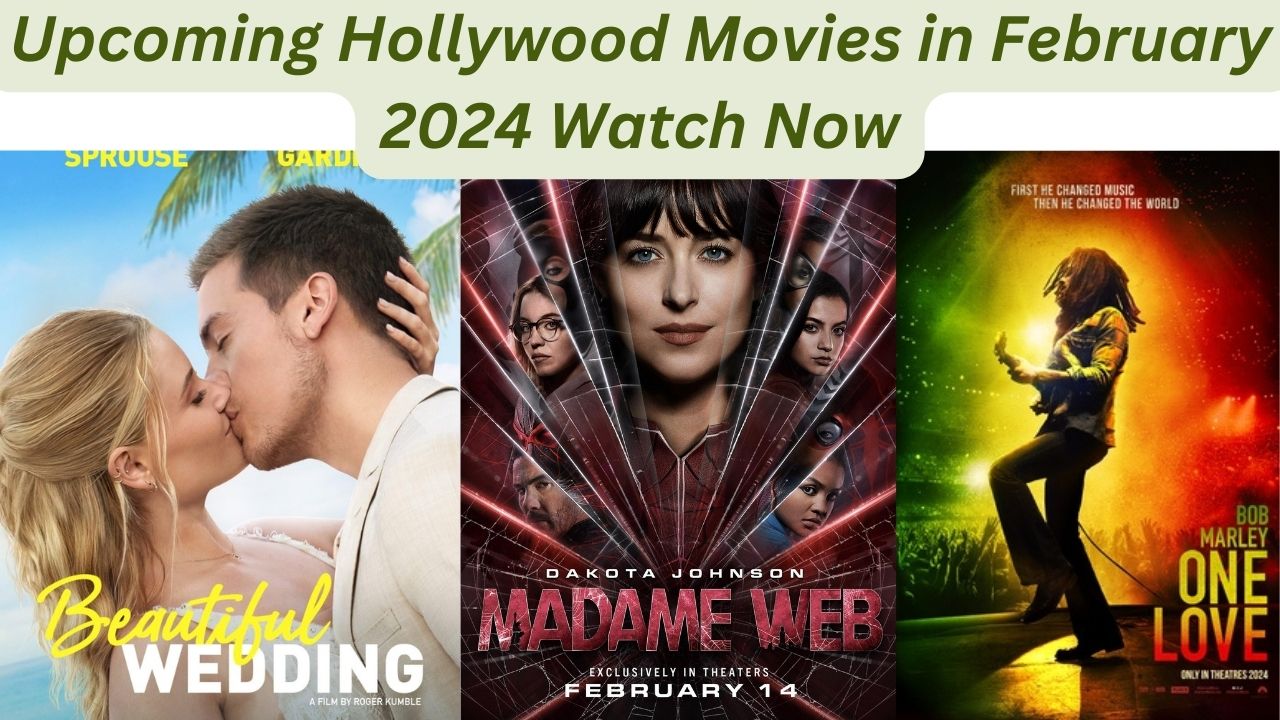 Hollywood Movies in February 2024 Watch Now